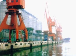 青岛粮油码头2001年TD-F 1000Φx2000L,TD-DD300Hx1500L
